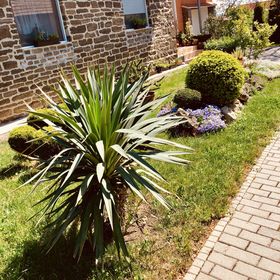 Levendula Villa Tihany