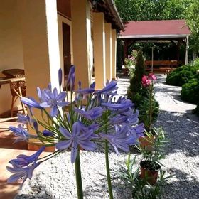 Aranyhal Vendégház Poroszló