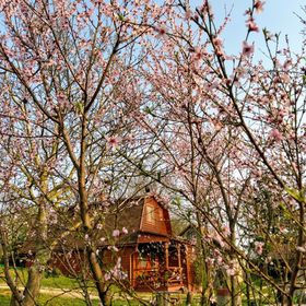 Ló-Beálló Faház Bárdudvarnok