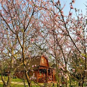 Ló-Beálló Faház Bárdudvarnok