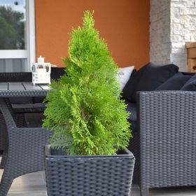 Balaton Relax Apartmanház Balatonfenyves