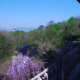 Kilátó IV Apartman Balatonboglár