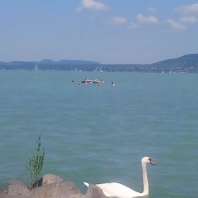 Lelle Resort 22 Apartman Balatonlelle 