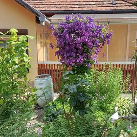 Mókus Vendégház Szilvásvárad