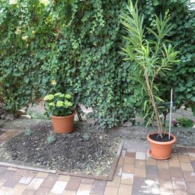 Hortenzia Apartman Eger