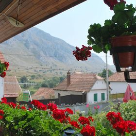 Pensiunea cu Mușcate Rimetea