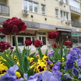 Szent Miklós Apartman Hajdúszoboszló