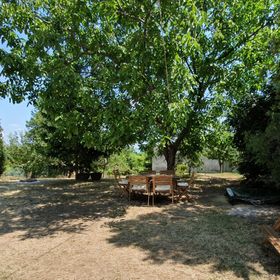 Diófa Vendégház Balatonfüred