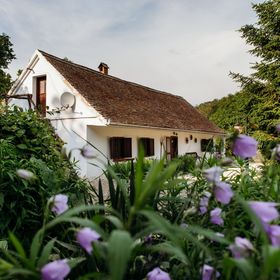 Káni Ökoporta Hetvehely-Kán