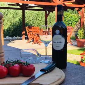 Vadszőlő Apartmanház Gyomaendrőd