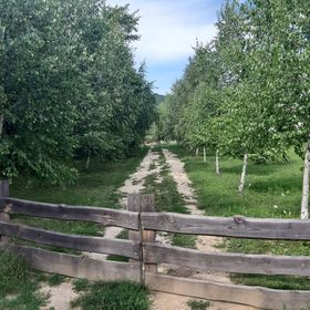 Pilis Völgye Lovas Vendégház Pilisszántó