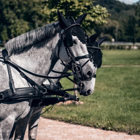 Jítravský Dvorec - Apartmán-Hotel 