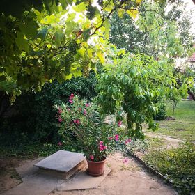 ZöldHáz Apartman Tiszafüred