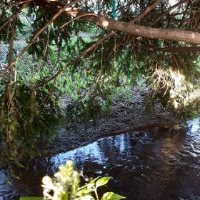 Flóra Apartman a Balatonnál Lovas