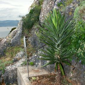 Nyaralóház Parkolóhellyel Vrbnik, Krk - 5426 Vrbnik