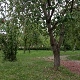 Klára Apartman Szentkozmadombja