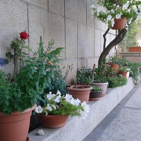 Apartmanok Internet Hozzáféréssel Sibenik - 16170 Šibenik