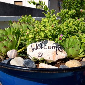 Nyaralóház Parkolóhellyel Seline, Paklenica - 16318 Seline