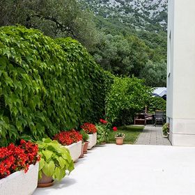 Apartmanok A Tenger Mellett Igrane, Makarska - 17292 Igrane