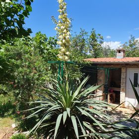 Apartmanok Parkolóhellyel Seline, Paklenica - 17390 Seline