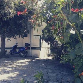 Apartmanok Parkolóhellyel Petrcane, Zadar - 17770 Petrčane