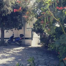 Apartmanok Parkolóhellyel Petrcane, Zadar - 17770 Petrčane