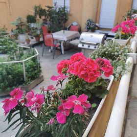 Baross-hat Apartmanház Szolnok