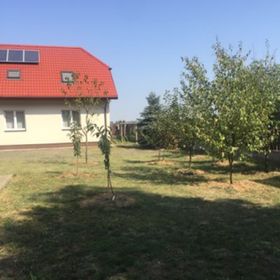 Noclegi Oaza Rozalin