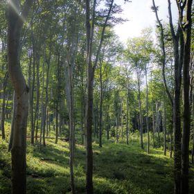 4 Évszak Hegyihotel Mátraháza