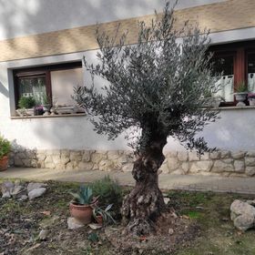 Lavendel Apartman Harkány