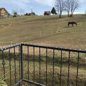 Prosper Lovasklub Panzió Piliscsév