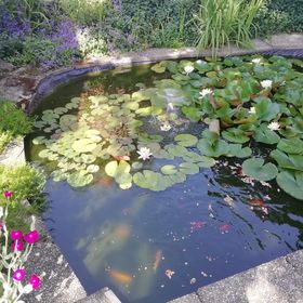 Szalai Vendégház Máriakálnok