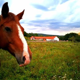Szentkereszty Vendégház Bakonybél