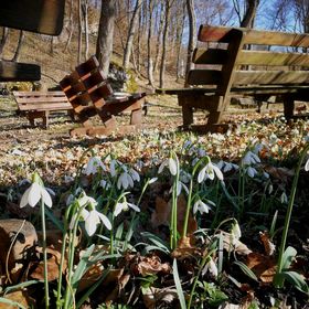 Szentkereszty Vendégház Bakonybél