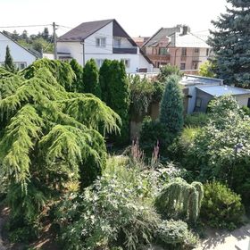 Édenkert Apartman Keszthely