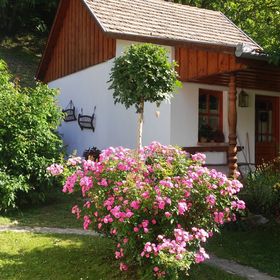 Tulipános Vendégház Óbánya