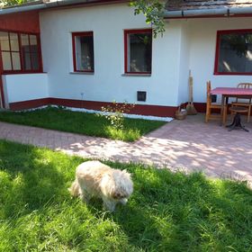 Tisza-tavi Amúrlak Poroszló