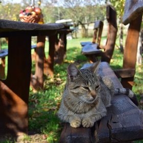 Kemencés Vendégház Nemeshany