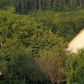 Roanzavi Lak Magánszállás Bükkszentkereszt