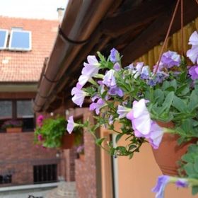 Penzion Vinařský dvorek