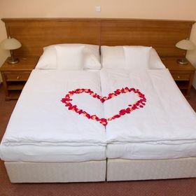 Wellness hotel Ida Františkovy Lázně