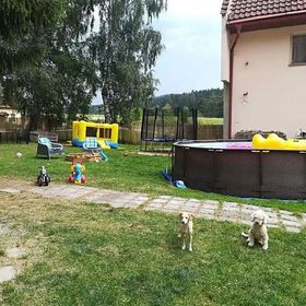 Penzion Tomy 2 - Pihlov Horní Planá