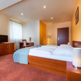 Hotel Skanzen Modrá