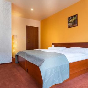 Hotel Skanzen Modrá