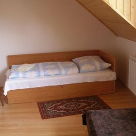 Penzion u Skrblika - Holice