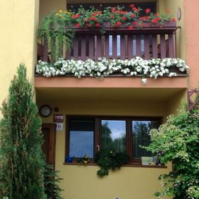 Penzion Dvořák Pavel U Stromovky 1B České Budějovice