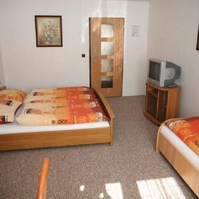 Hotel Olga Slavkov u Brna