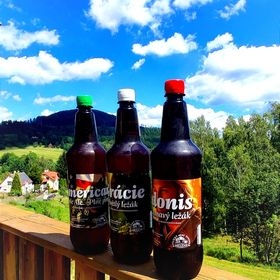 Pension Helene Kytlice