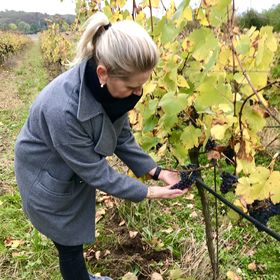 Penzion U Mikuláše Znojmo
