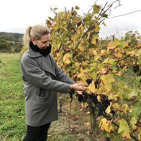 Penzion U Mikuláše Znojmo